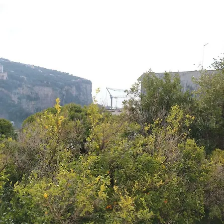 Da Marco * Вико-Экуенсе